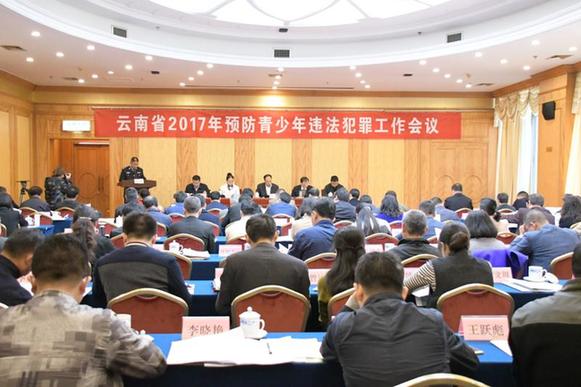 云南省2017年预防青少年违法犯罪工作会议在昆举行