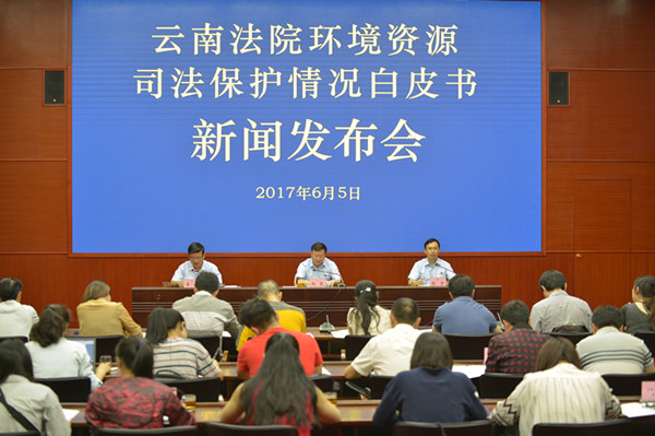 云南省各级人民法院加强创新环境司法审判工作