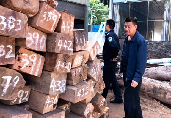 云南勐腊县连续查获2起非法收购运输珍贵红木案