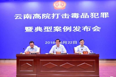 云南省高院发布十起毒品犯罪典型案例