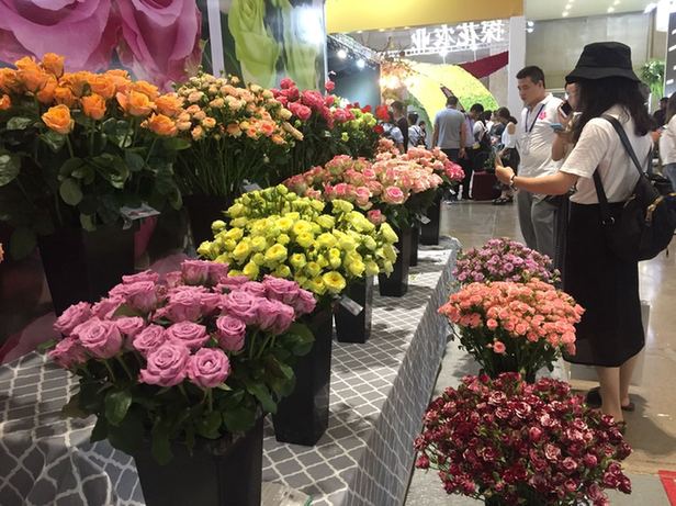 第十九届中国昆明国际花卉展、2018中国国际家庭花卉园艺展览会、第十八届中国花卉零售业交流会在昆开幕
