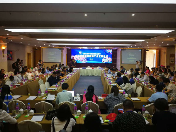 云南民族服装服饰产业发展论坛在楚雄举行
