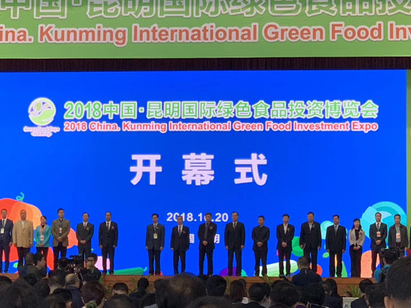 中国昆明国际绿色食品投资博览会在昆开幕式