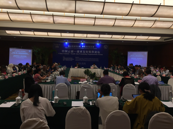 中国云南—南亚友好组织论坛在昆明举行